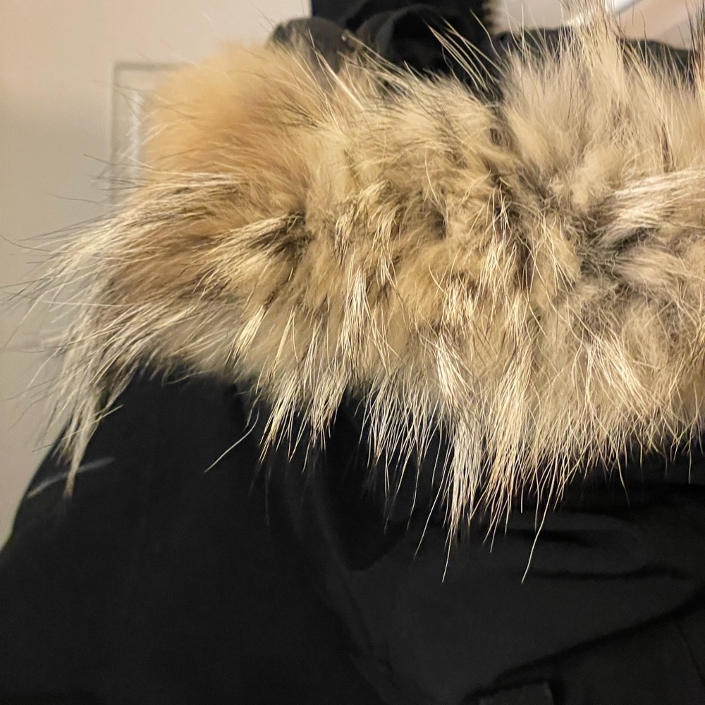 Langford Parka Black - L - Picture 9 of 15